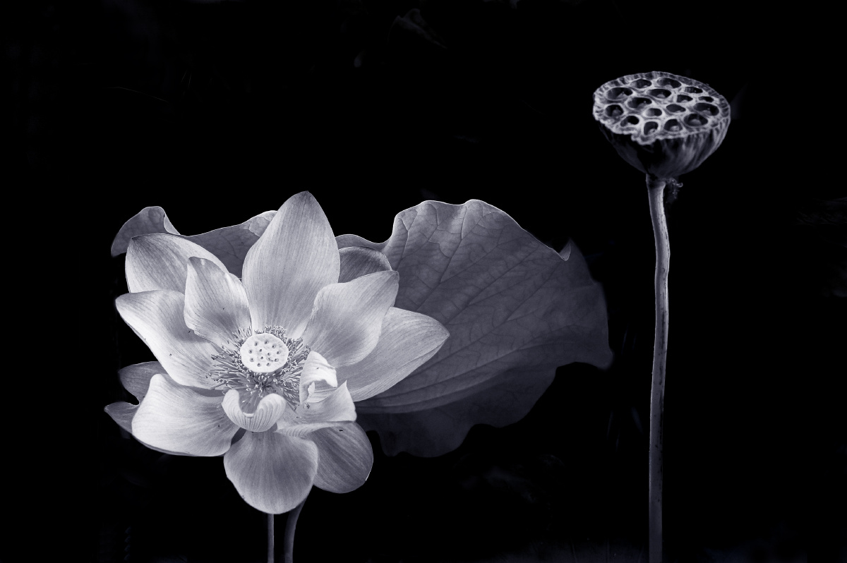 极简主义美学的黑白灰