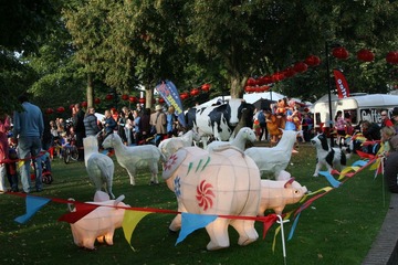 IMG_2882.JPG
