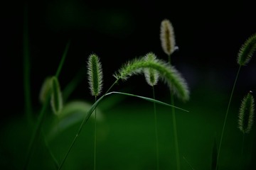 DF54E0FB-0C7A-4331-9CC5-A901489CEA90/L0/001