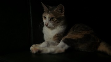 120105