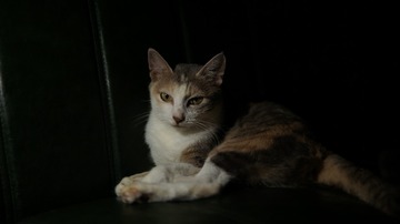 120111