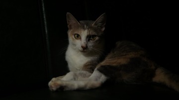 120109
