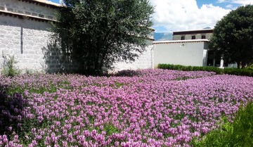 20120810321-1.JPG