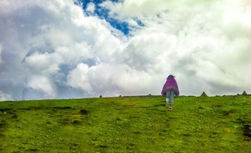 20120811367-1.JPG