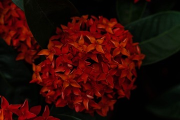 A309FA37-82EA-4702-905E-F1ECEF1268B4/L0/001