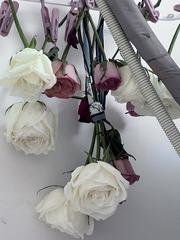 8CB0E3F3-8CF4-4674-9F86-ED5D2923AB64/L0/001