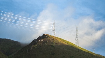 1000011705