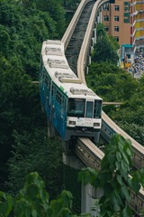 1000016733