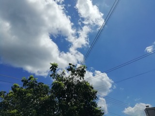 1295170