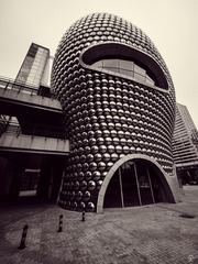 P1150943.jpg
