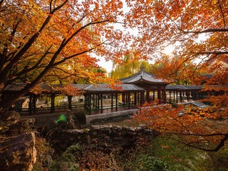 P1180317.jpg