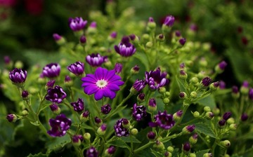 IMG_0981_nEO_IMG.jpg