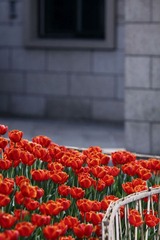 IMG_2053.jpg