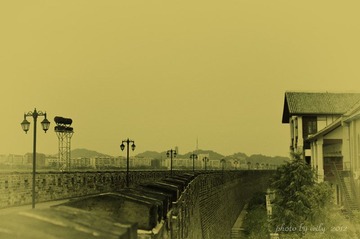 IMGP5780.jpg