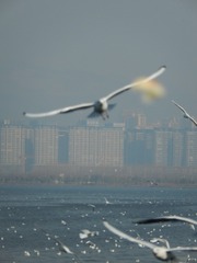 D693725C-443E-4D57-9B78-4E781A4EBDA7/L0/001