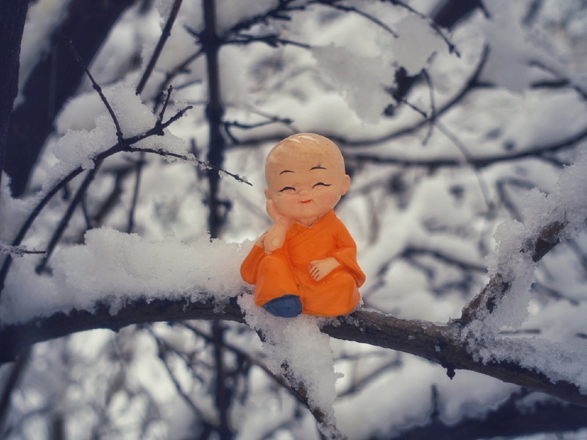 雪中禅