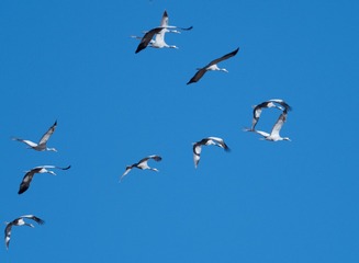 1672051