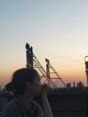 4604016