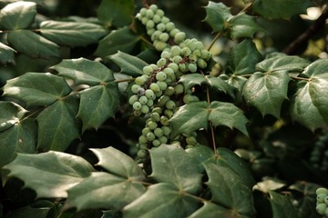 C73EDA93-3AB0-40C0-81D1-5C53D41C2E30/L0/001