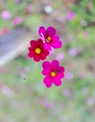 6DB8B62B-EC6B-471E-91F3-E57AB62A0D07/L0/001