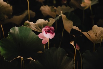 575812