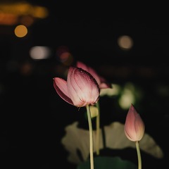 575811