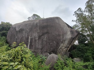 1000049082