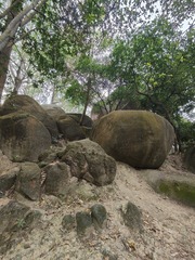 1000047251