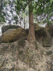 1000047249