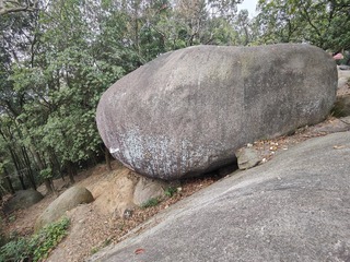 1000051326