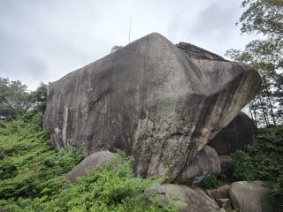 1000049091