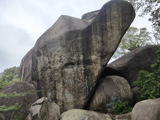 1000049121