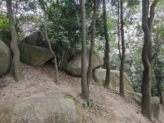 1000051389