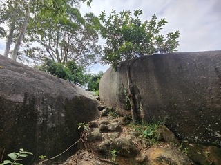 1000036103