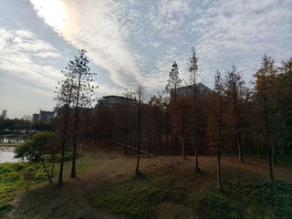 1000007703
