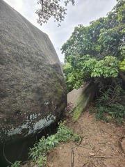 1000036130