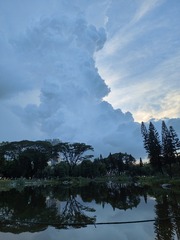 1000066369
