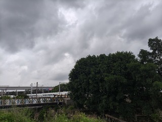 1000026256