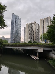 1000024709