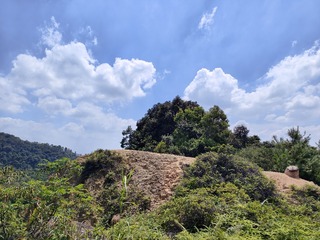 1000037331
