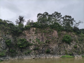 1000026377