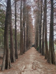 1000050771