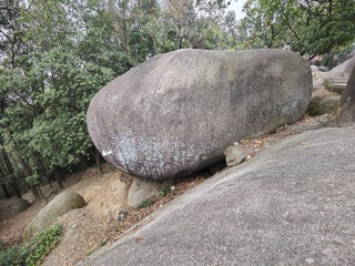 1000051325