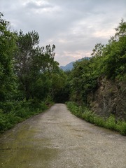 1000029758