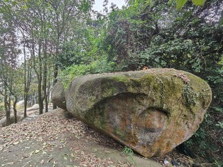 1000051383
