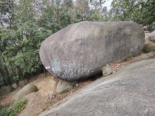1000051329