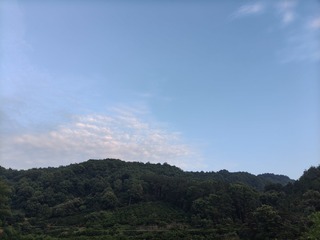 1000030361