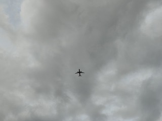 1000064489