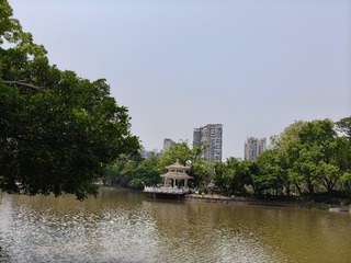 1000015577
