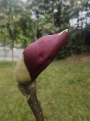 1000073397